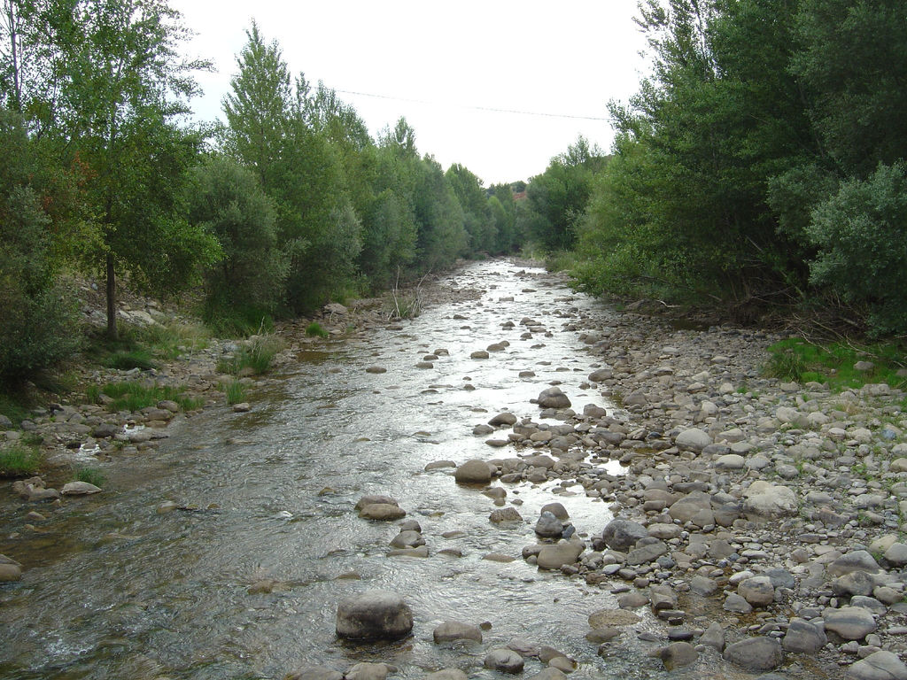 LIC Riberas del río Cidacos y afluentes
